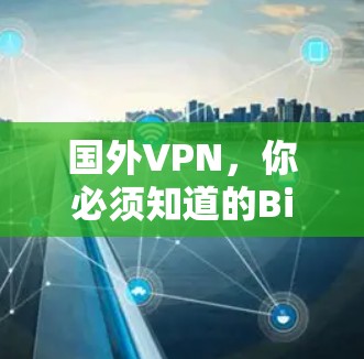 国外VPN,你必须知道的Bilbi的真实情况 国外VPN,你必须知道的Bilbi的真实情况