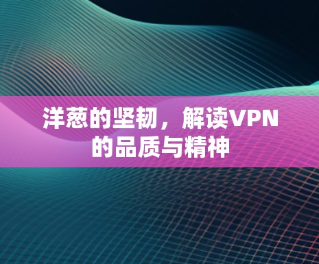 洋葱的坚韧，解读VPN的品质与精神