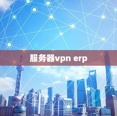 服务器vpn erp