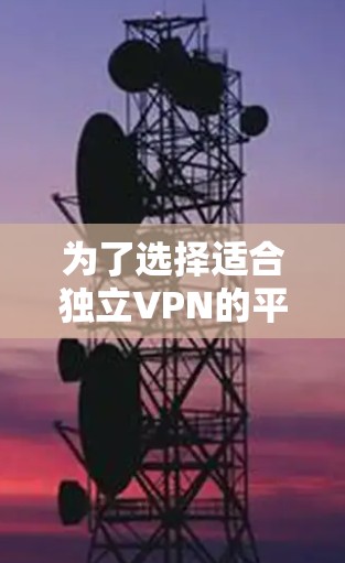为了选择适合独立VPN的平台，可以按照以下步骤进行