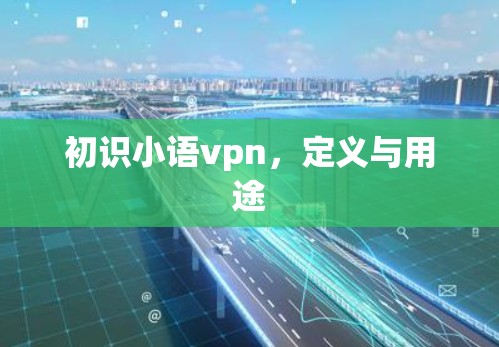 初识小语vpn，定义与用途