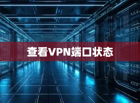 查看VPN端口状态