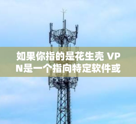 如果你指的是花生壳 VPN是一个指向特定软件或服务的名称,请提供更多上下文信息,以便更准确地回答你的问题