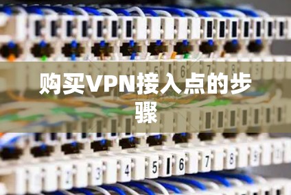 购买VPN接入点的步骤