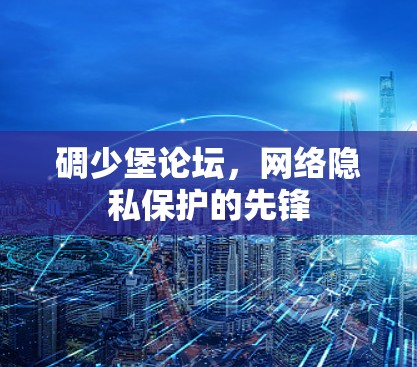 碉少堡论坛,网络隐私保护的先锋