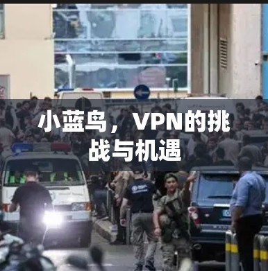 小蓝鸟,VPN的挑战与机遇