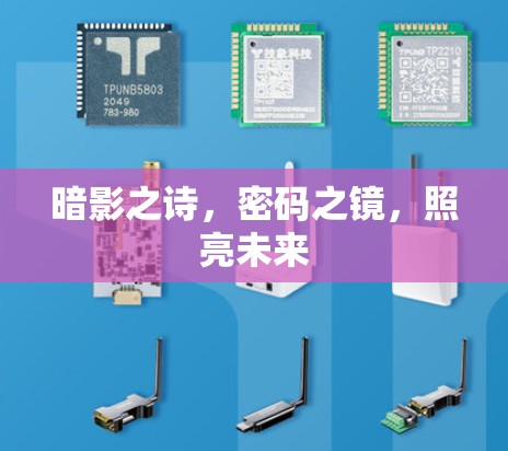 暗影之诗，密码之镜，照亮未来