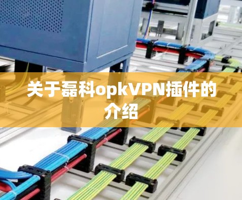 关于磊科opkVPN插件的介绍 关于磊科opkVPN插件的介绍