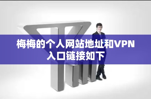 梅梅的个人网站地址和VPN入口链接如下