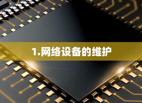 1.网络设备的维护