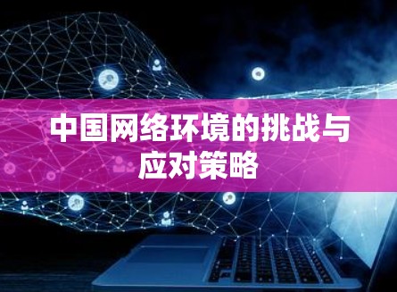中国网络环境的挑战与应对策略