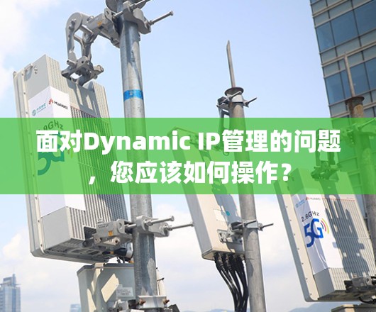 面对Dynamic IP管理的问题，您应该如何操作？
