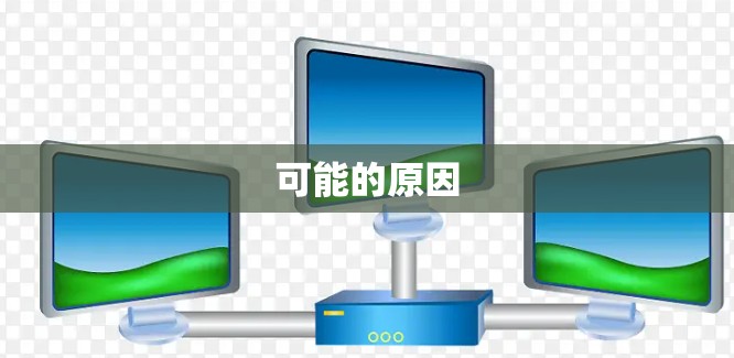 可能的原因