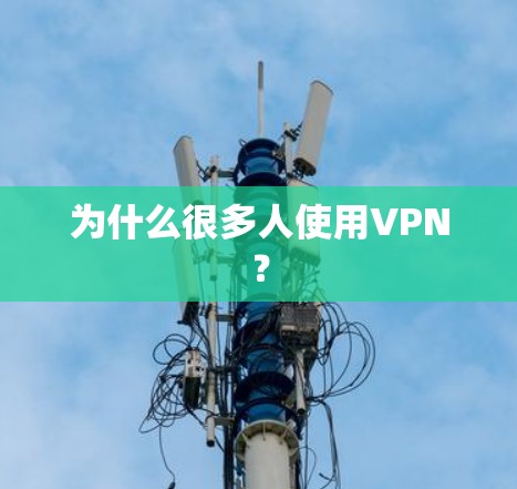 为什么很多人使用VPN? 为什么很多人使用VPN?