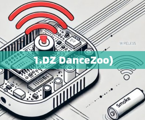 1.DZ DanceZoo)