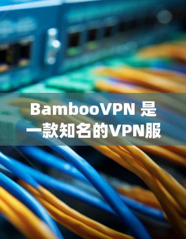BambooVPN 是一款知名的VPN服务，提供多种配置和安全选项，旨在为用户提供高效且安全的网络连接体验。以下是关于芝麻vpn客户端的一些关键信息