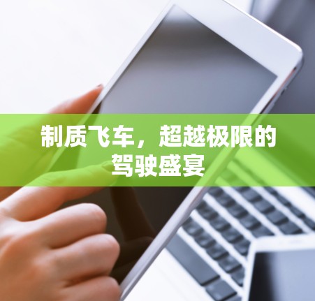 制质飞车，超越极限的驾驶盛宴