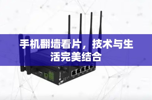 手机翻墙看片，技术与生活完美结合