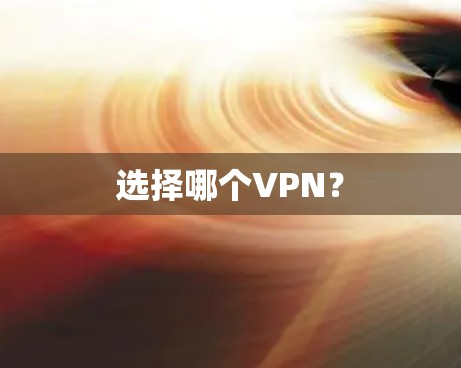 选择哪个VPN？