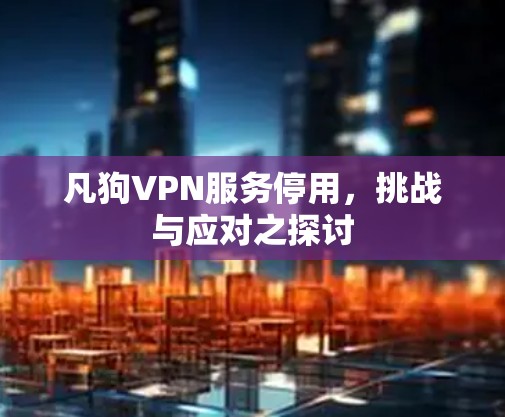 凡狗VPN服务停用，挑战与应对之探讨
