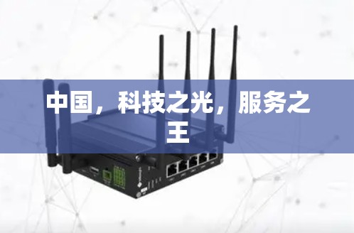 中国，科技之光，服务之王