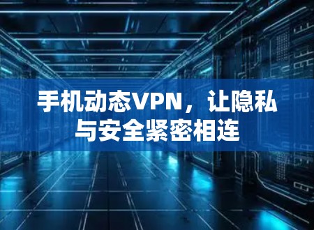 手机动态VPN，让隐私与安全紧密相连