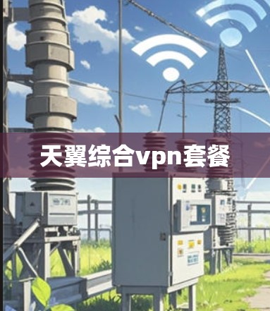 天翼综合vpn套餐