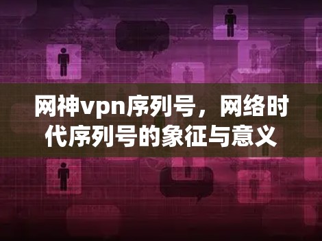 网神vpn序列号，网络时代序列号的象征与意义