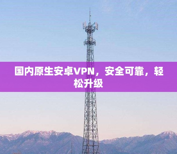 国内原生安卓VPN,安全可靠,轻松升级 国内原生安卓VPN,安全可靠,轻松升级