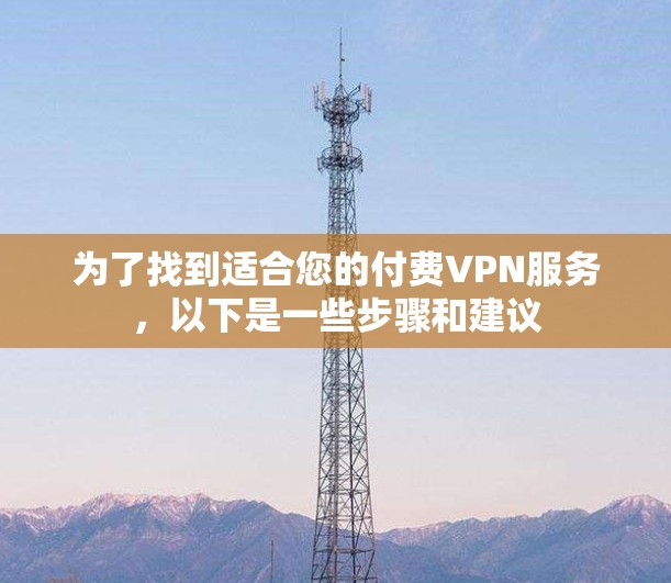 为了找到适合您的付费VPN服务，以下是一些步骤和建议