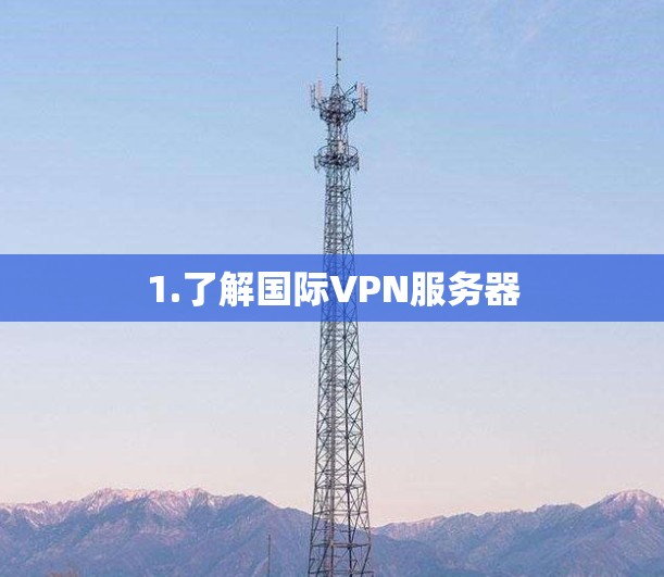 1.了解国际VPN服务器