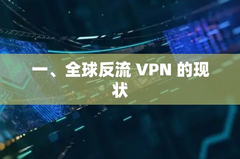 一、全球反流 VPN 的现状