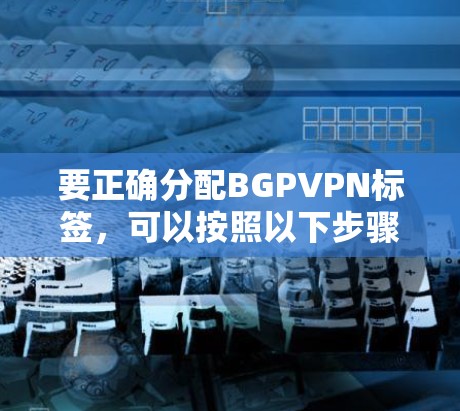 要正确分配BGPVPN标签，可以按照以下步骤进行