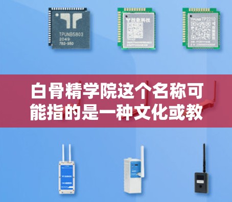 白骨精学院这个名称可能指的是一种文化或教育机构，与古龙的小说白骨精中的角色有关。白骨精是一种具有神秘力量的精神力量，通常与神秘、超自然有关，因此可能指的是一种以白骨精为特色的学院或文化团体
