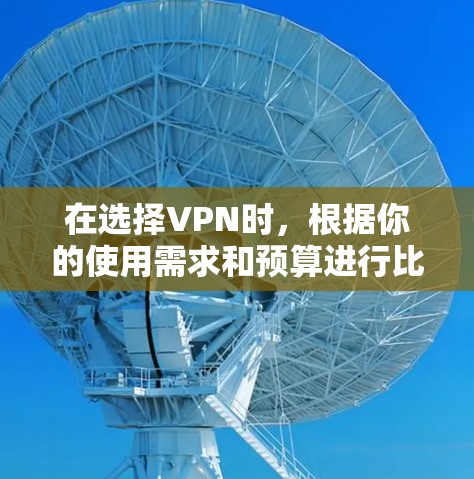 在选择VPN时，根据你的使用需求和预算进行比较是非常重要的。以下是对各个VPN的总结，帮助你做出明智的选择
