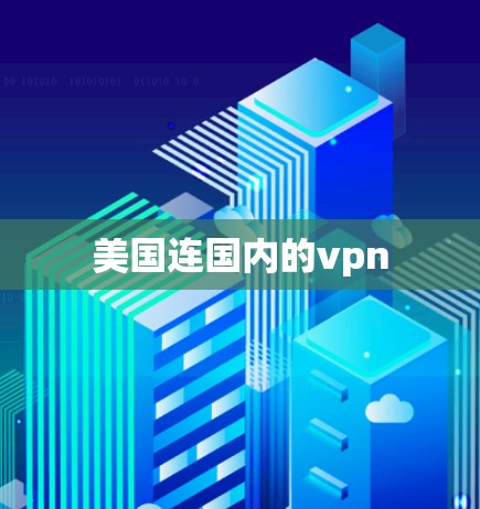 美国连国内的vpn