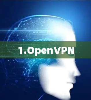 1.OpenVPN 1.OpenVPN