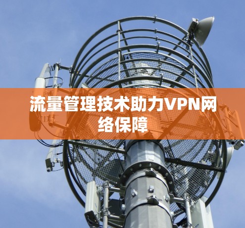流量管理技术助力VPN网络保障 流量管理技术助力VPN网络保障