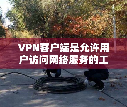 VPN客户端是允许用户访问网络服务的工具，以保护隐私并防止未经授权的访问。以下是关于VPN客户端的详细信息