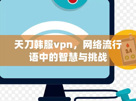 天刀韩服vpn，网络流行语中的智慧与挑战
