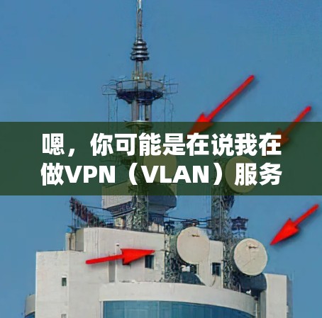 嗯,你可能是在说我在做VPN(VLAN)服务,或者是在寻找帮助自己做VPN的资源。VPN是通过VPN服务连接到其他国家的网络,用来获取视频、文件等资源的一种方式 嗯,你可能是在说我在做VPN(VLAN)服务,或者是在寻找帮助自己做VPN的资源。VPN是通过VPN服务连接到其他国家的网络,用来获取视频、文件等资源的一种方式