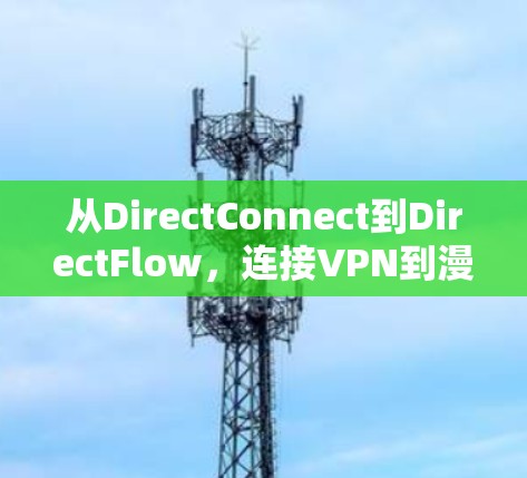 从DirectConnect到DirectFlow，连接VPN到漫游平台的高效解决方案
