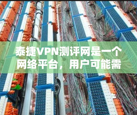 泰捷VPN测评网是一个网络平台，用户可能需要下载一些软件或工具。以下是对这个网站的分析和总结