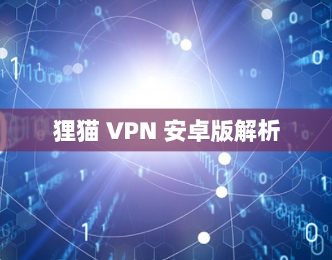 狸猫 VPN 安卓版解析