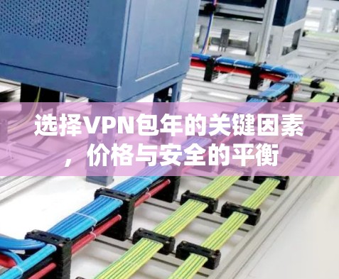 选择VPN包年的关键因素,价格与安全的平衡 选择VPN包年的关键因素,价格与安全的平衡