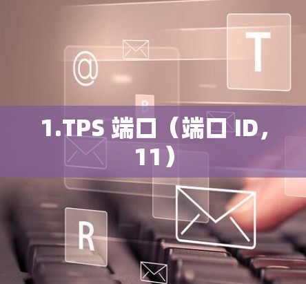 1.TPS 端口(端口 ID,11) 1.TPS 端口(端口 ID,11)