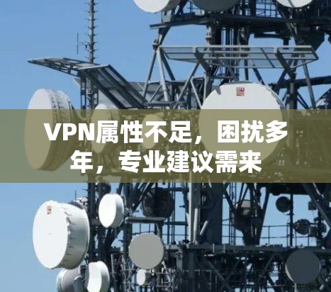 VPN属性不足,困扰多年,专业建议需来 VPN属性不足,困扰多年,专业建议需来