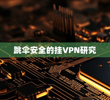 跳伞安全的挂VPN研究 跳伞安全的挂VPN研究