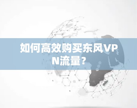 如何高效购买东风VPN流量? 如何高效购买东风VPN流量?