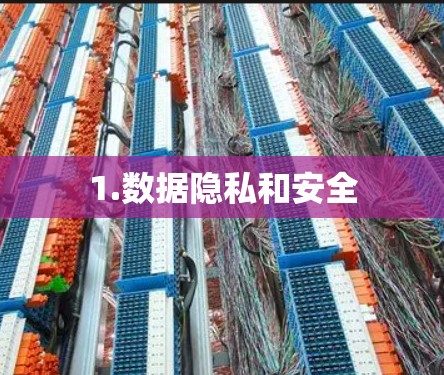 1.数据隐私和安全